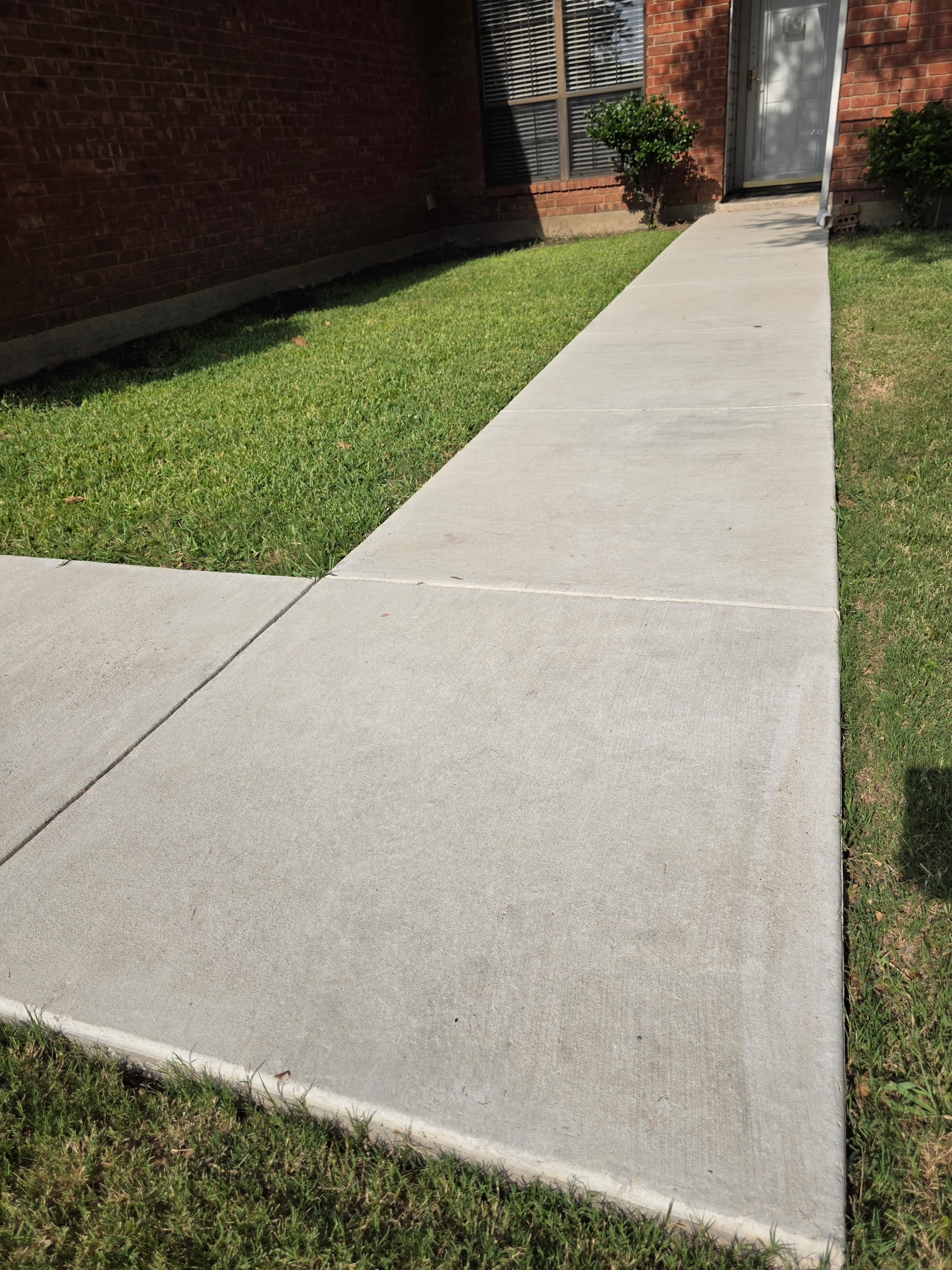 Front walkway before cleaning